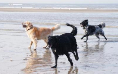 Strandwandeling